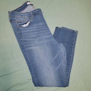 Ms. Cello Jeans-Size 16- Ultra Stretch